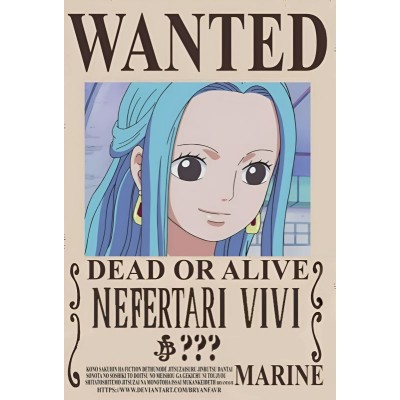 Placa Decorativa OnePiece Wanted Nefertari